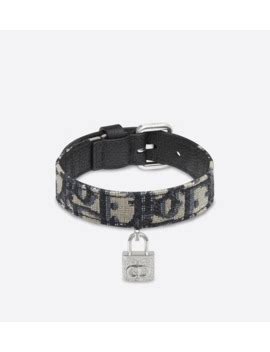 dior hundehalsband